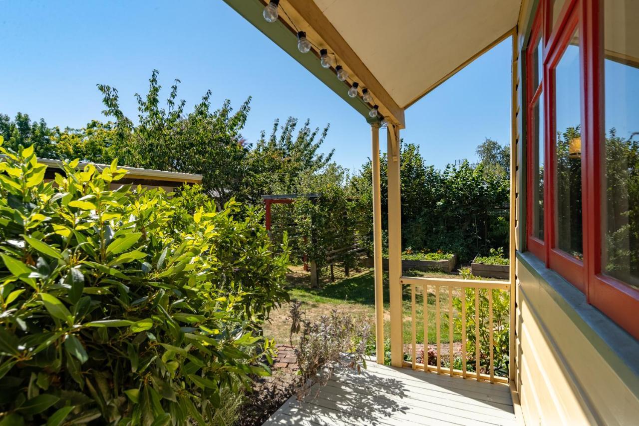غريتاون Shy Cottage And Studio المظهر الخارجي الصورة