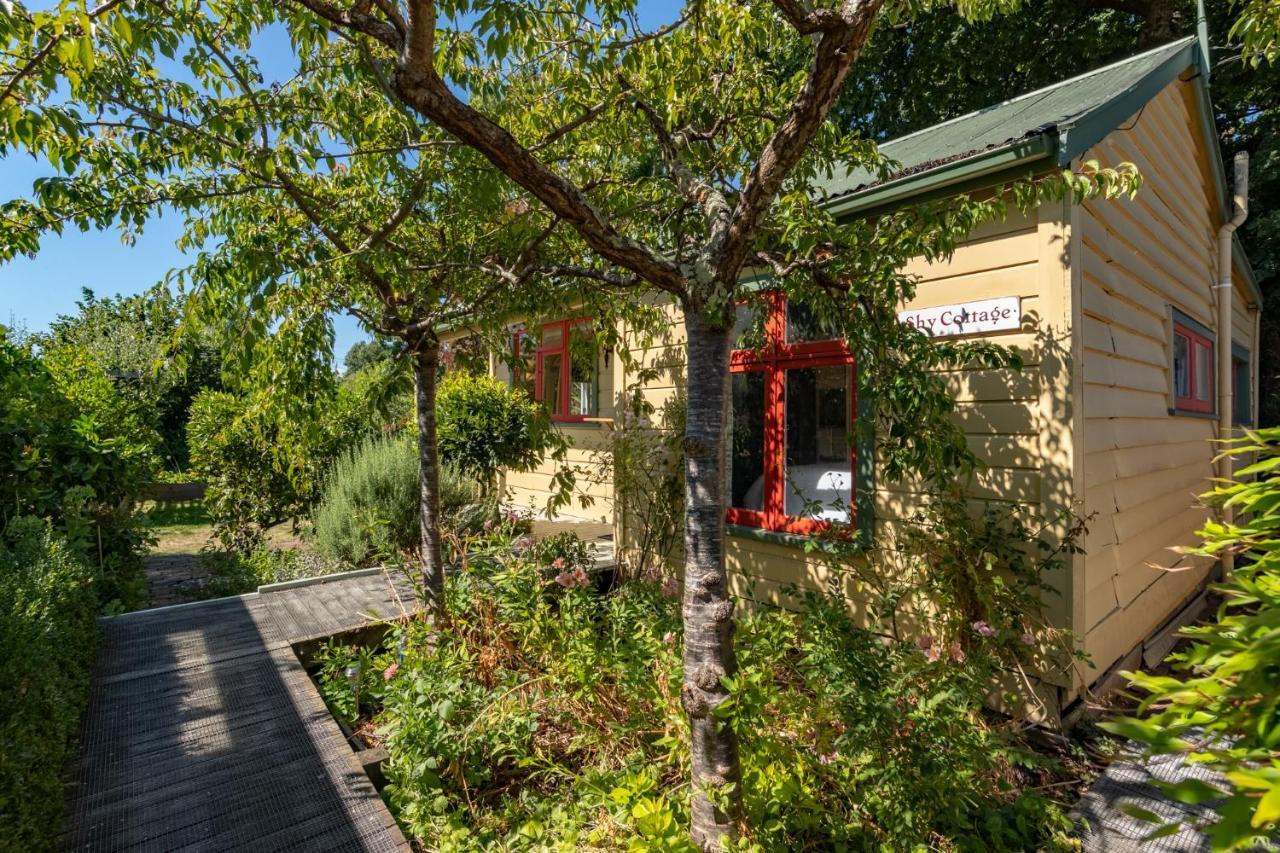 غريتاون Shy Cottage And Studio المظهر الخارجي الصورة