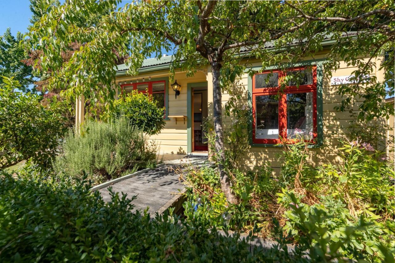 غريتاون Shy Cottage And Studio المظهر الخارجي الصورة