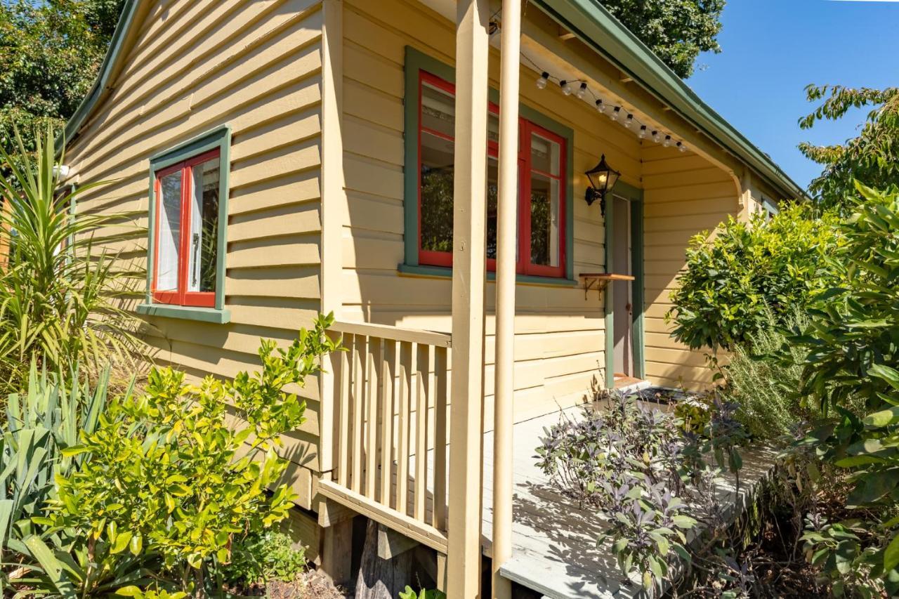 غريتاون Shy Cottage And Studio المظهر الخارجي الصورة